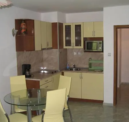 In The House Of Informat Sveti Vlas